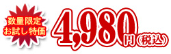 数量限定お試し価格4,980円(税込)